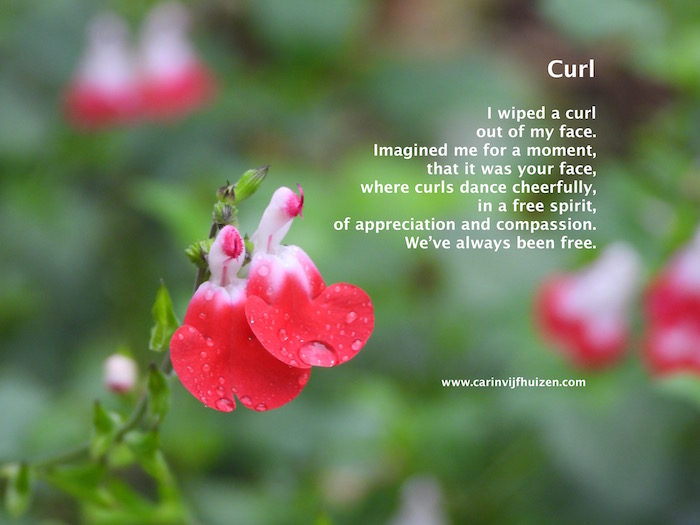 CURL